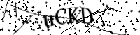 Typ hieronder de letters en cijfers